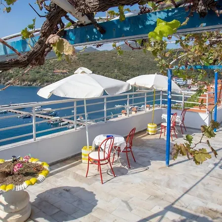 Paradise Apartamento *